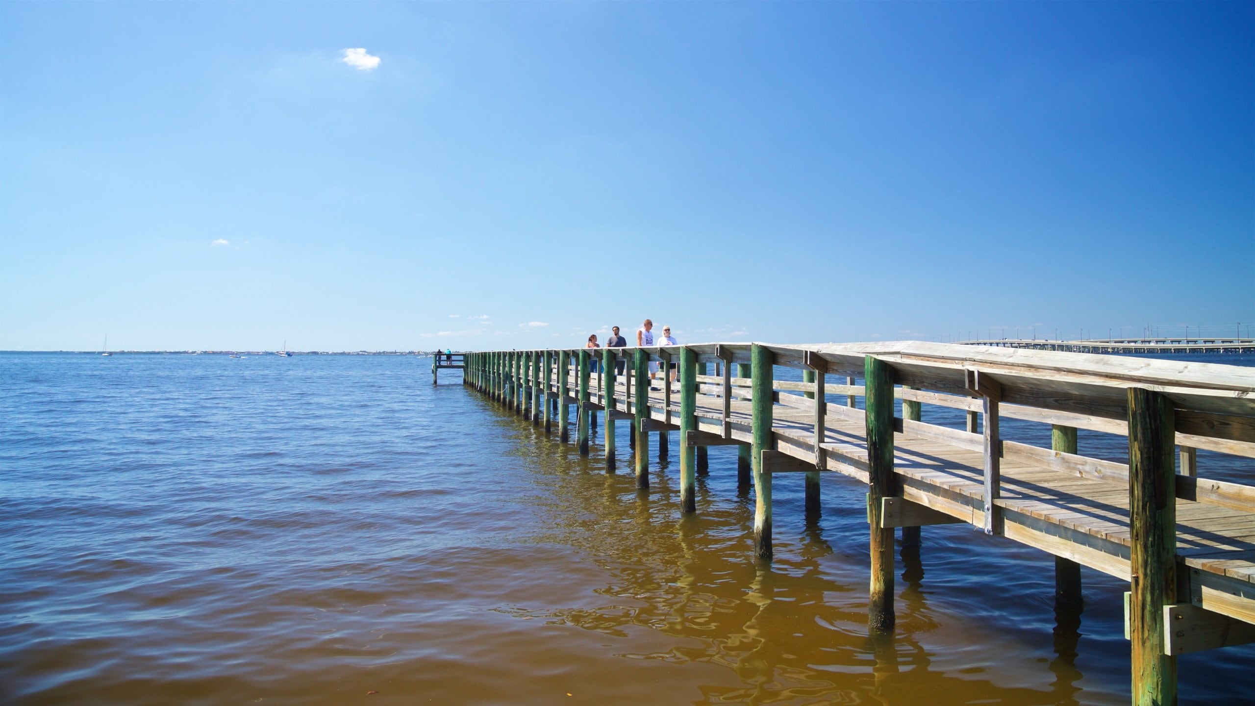 puntaGorda main image